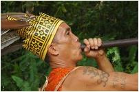 borneo