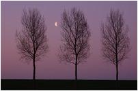 landschap